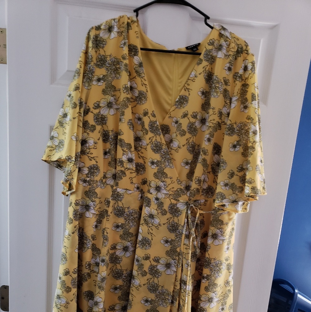 Torrid dress